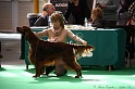 Crufts2011 390